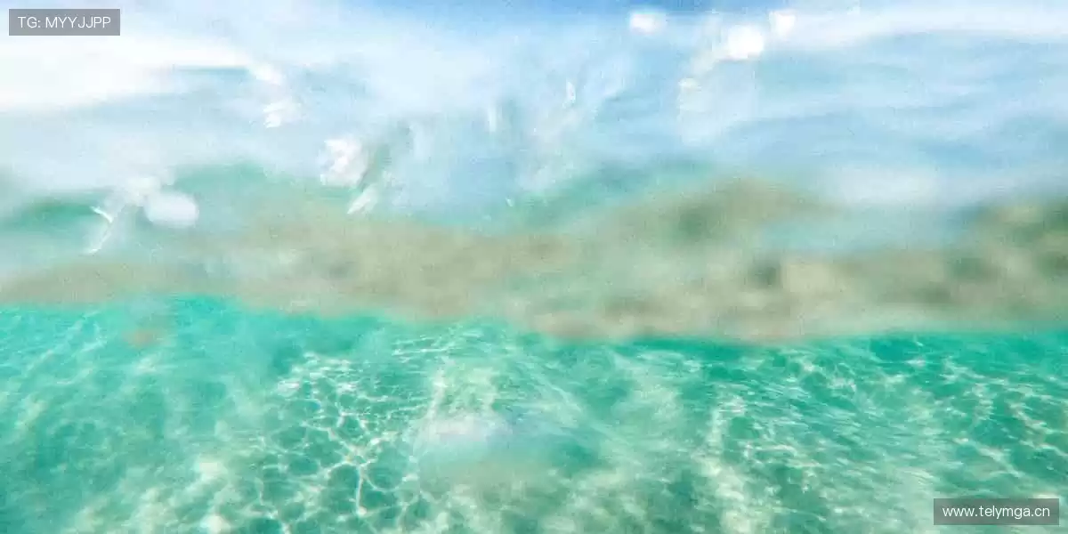 📺 高清直播，零时差体验！⚡️ 精彩瞬间，绝不错过！